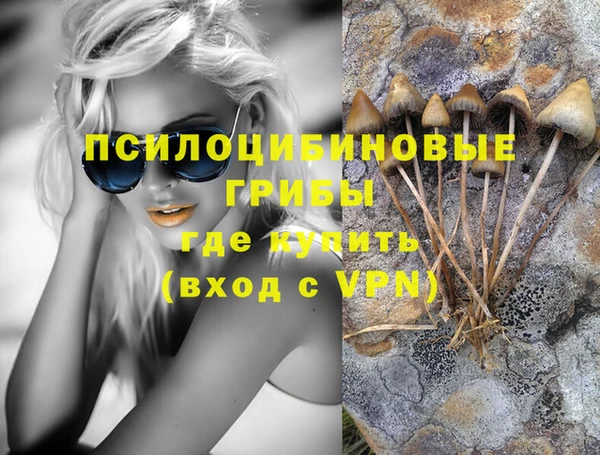 тгк Белокуриха