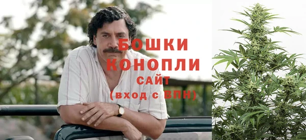 тгк Белокуриха