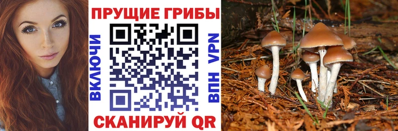 Галлюциногенные грибы GOLDEN TEACHER  маркетплейс клад  Светлогорск 